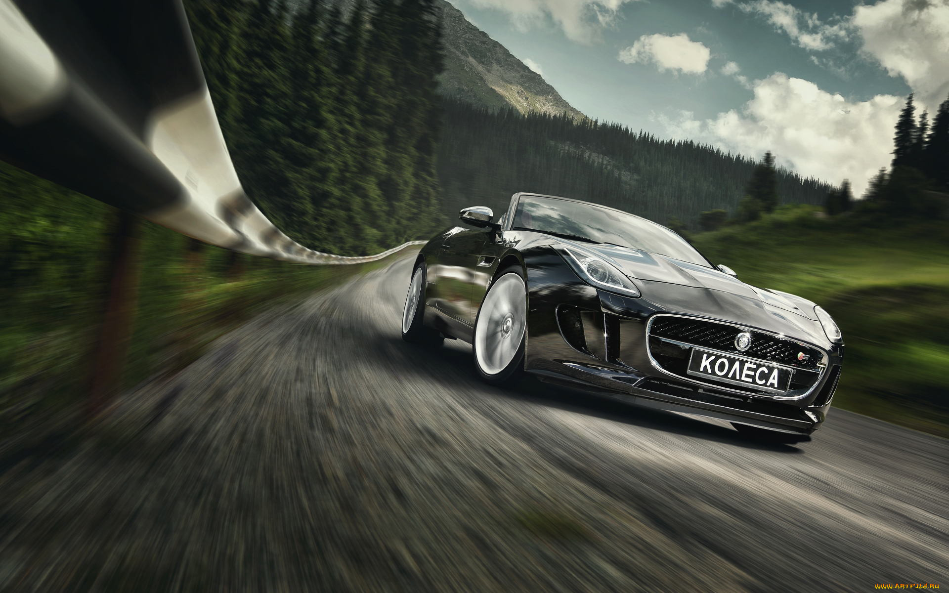 , jaguar, 